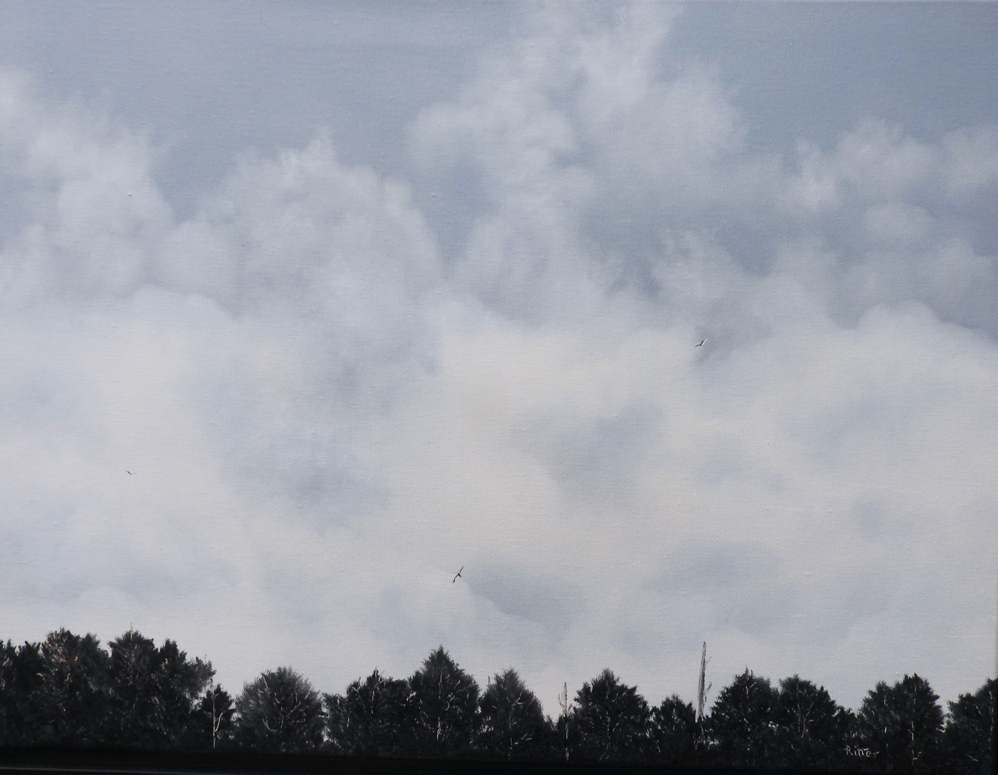 Click here to view Forest by Cheryl Ritter
