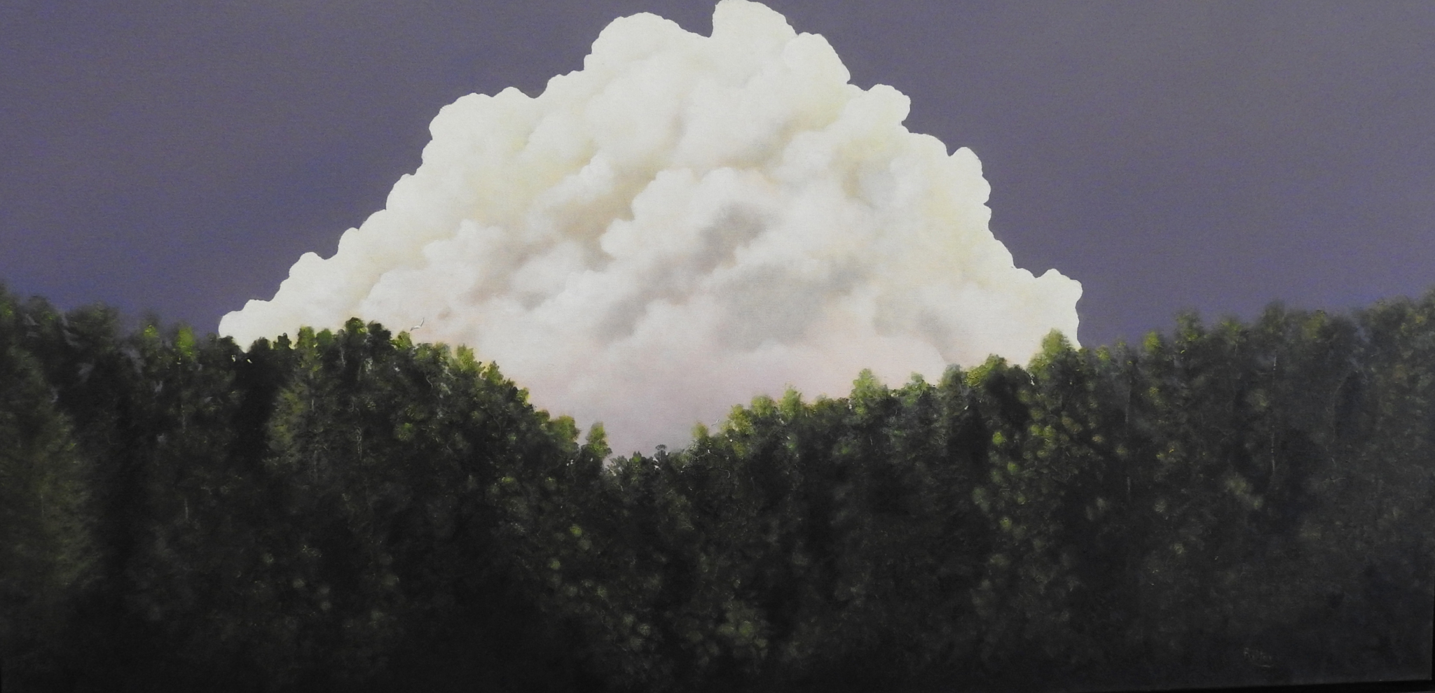 Click here to view Thunder by Cheryl Ritter