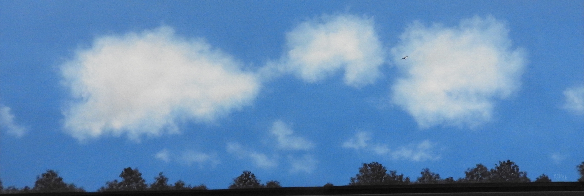 Click here to view Looking up by Cheryl Ritter